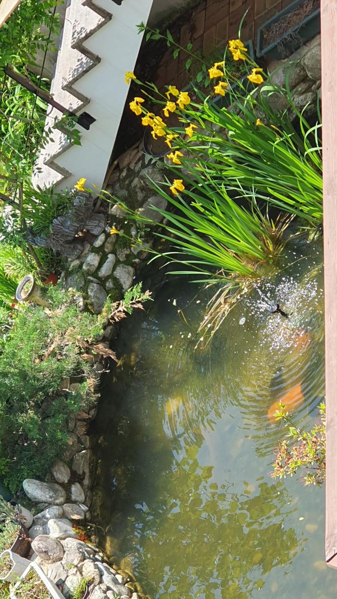 הוילה דמיאנג Saint Paul De Vence חדר תמונה