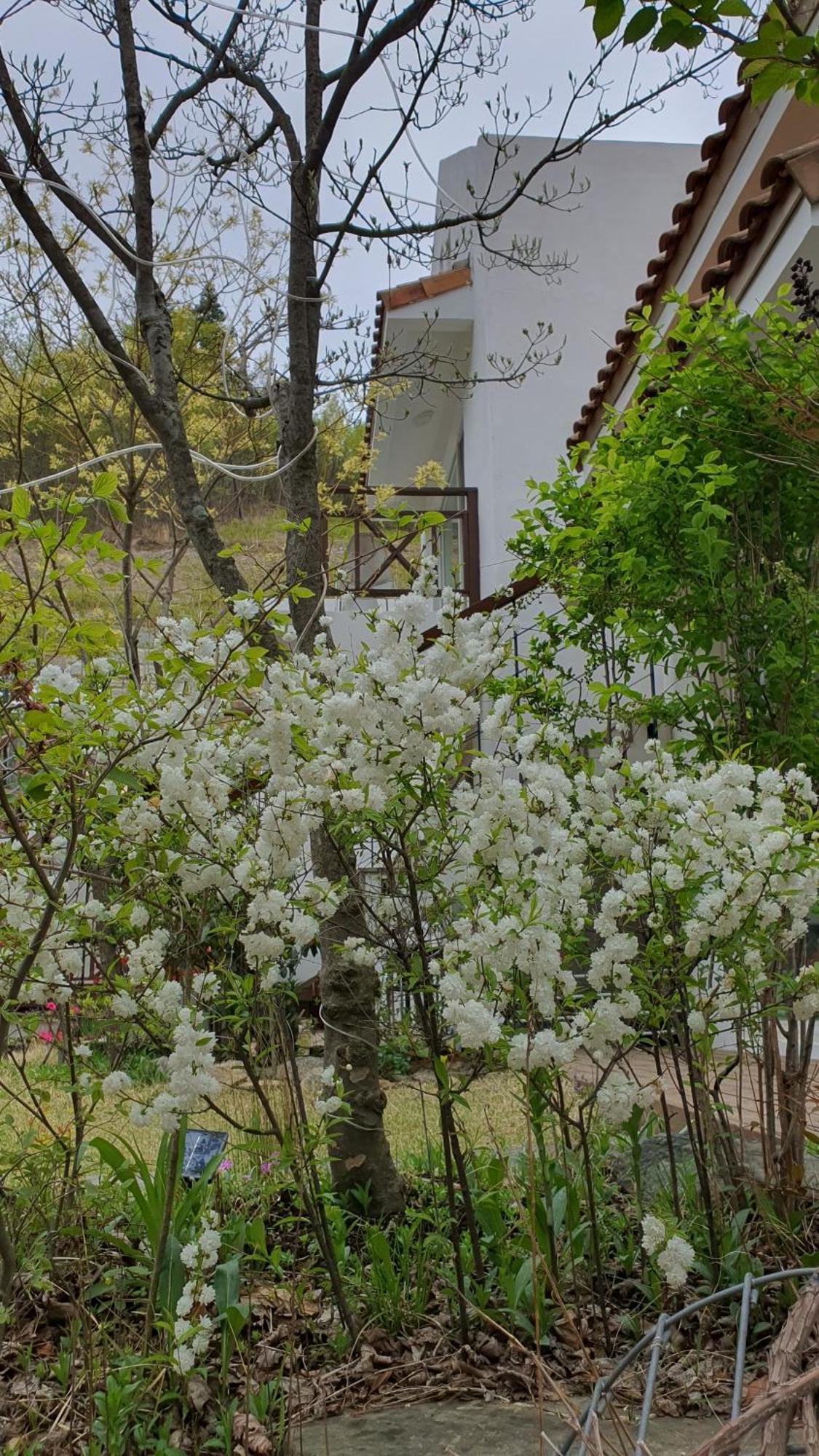 הוילה דמיאנג Saint Paul De Vence חדר תמונה