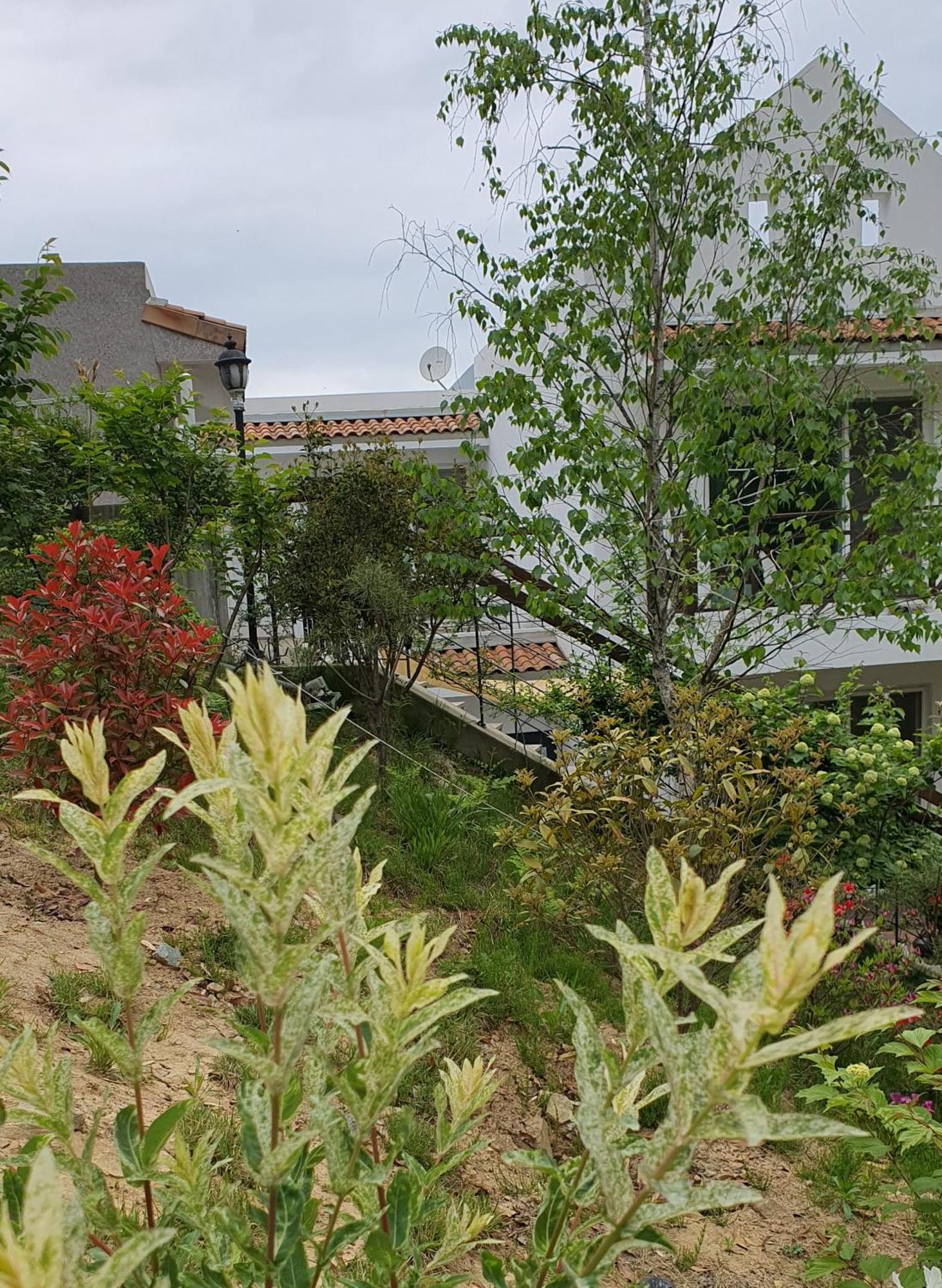 הוילה דמיאנג Saint Paul De Vence חדר תמונה